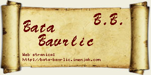 Bata Bavrlić vizit kartica